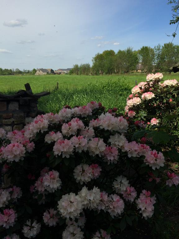 B&B De Lotus Hoevelaken ภายนอก รูปภาพ