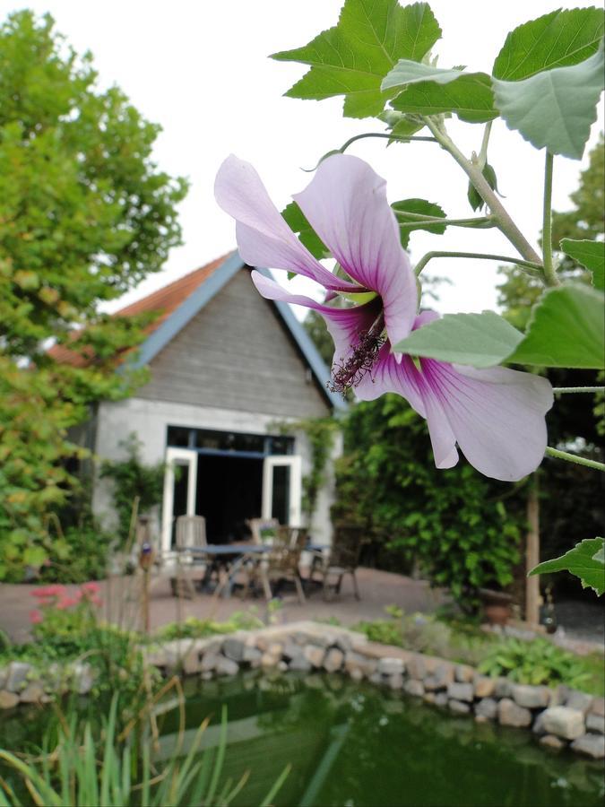 B&B De Lotus Hoevelaken ภายนอก รูปภาพ